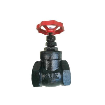 Factory Price Manual Threaded Cast Iron Gate Valve Non Rising Stem Gate Valve Dn15-dn100 For Sale